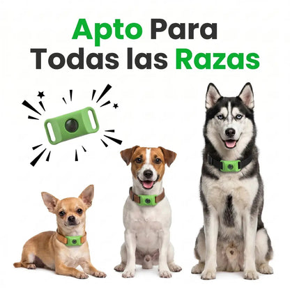 PawGuardian - 12 Meses Sin Pulgas ni Garrapatas
